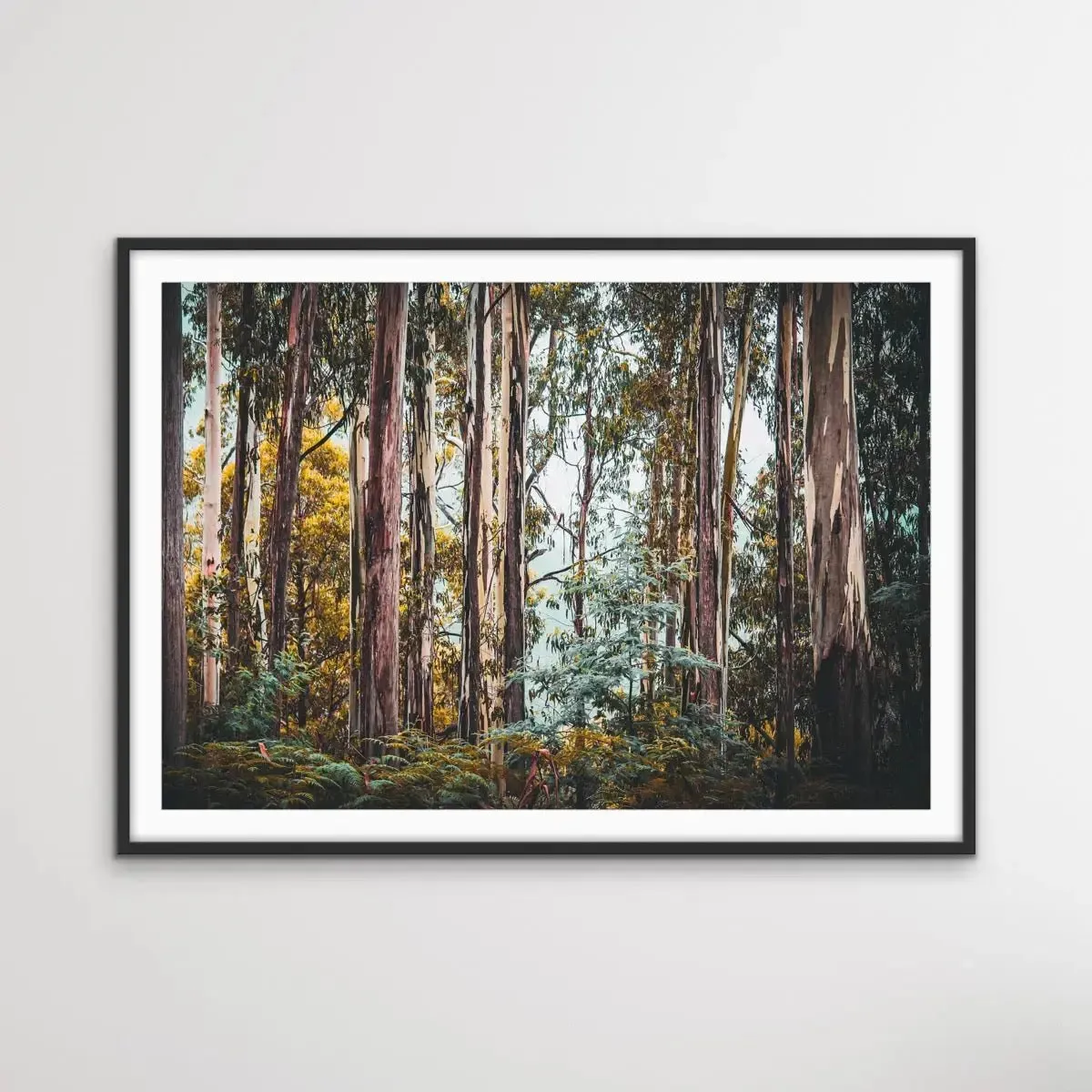 Australian Alpine Forest - Australian Nature Photographic Print