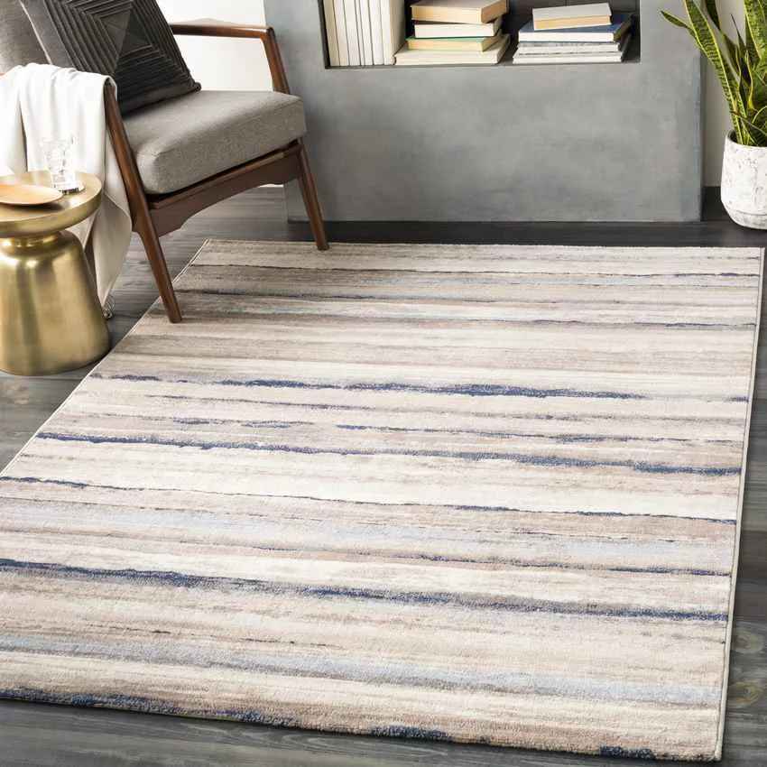 Ermerveen Modern Area Rug Carpet for Living Room Bedroom or Kitchen