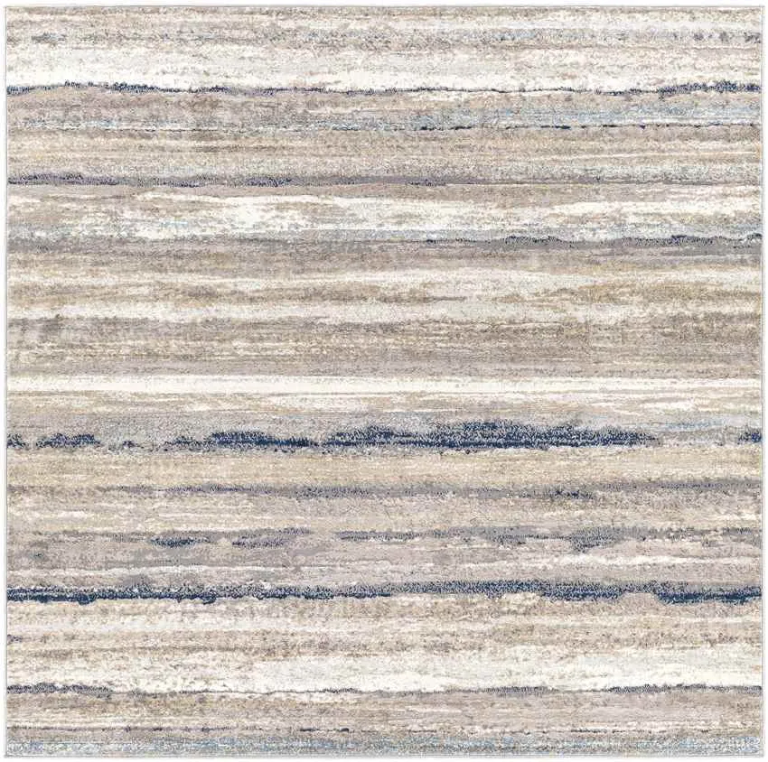 Ermerveen Modern Area Rug Carpet for Living Room Bedroom or Kitchen