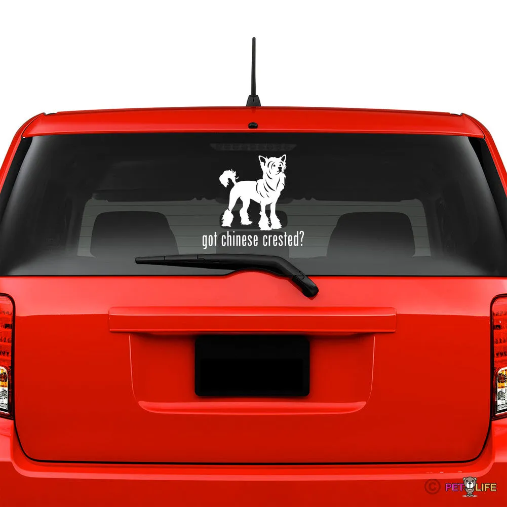 Got Chinese Crested Sticker