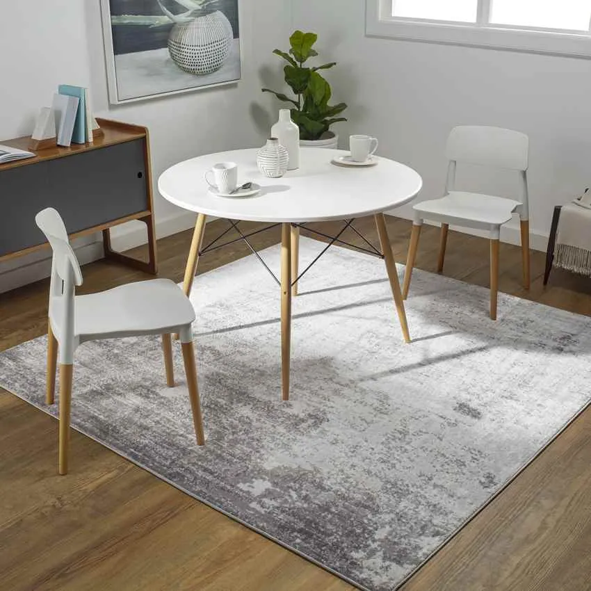 Lerobert Modern Area Rug Carpet for Living Room Bedroom or Kitchen