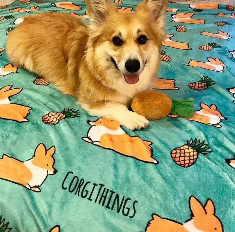 Pineapple Corgi Fleece Blanket | 3 Sizes