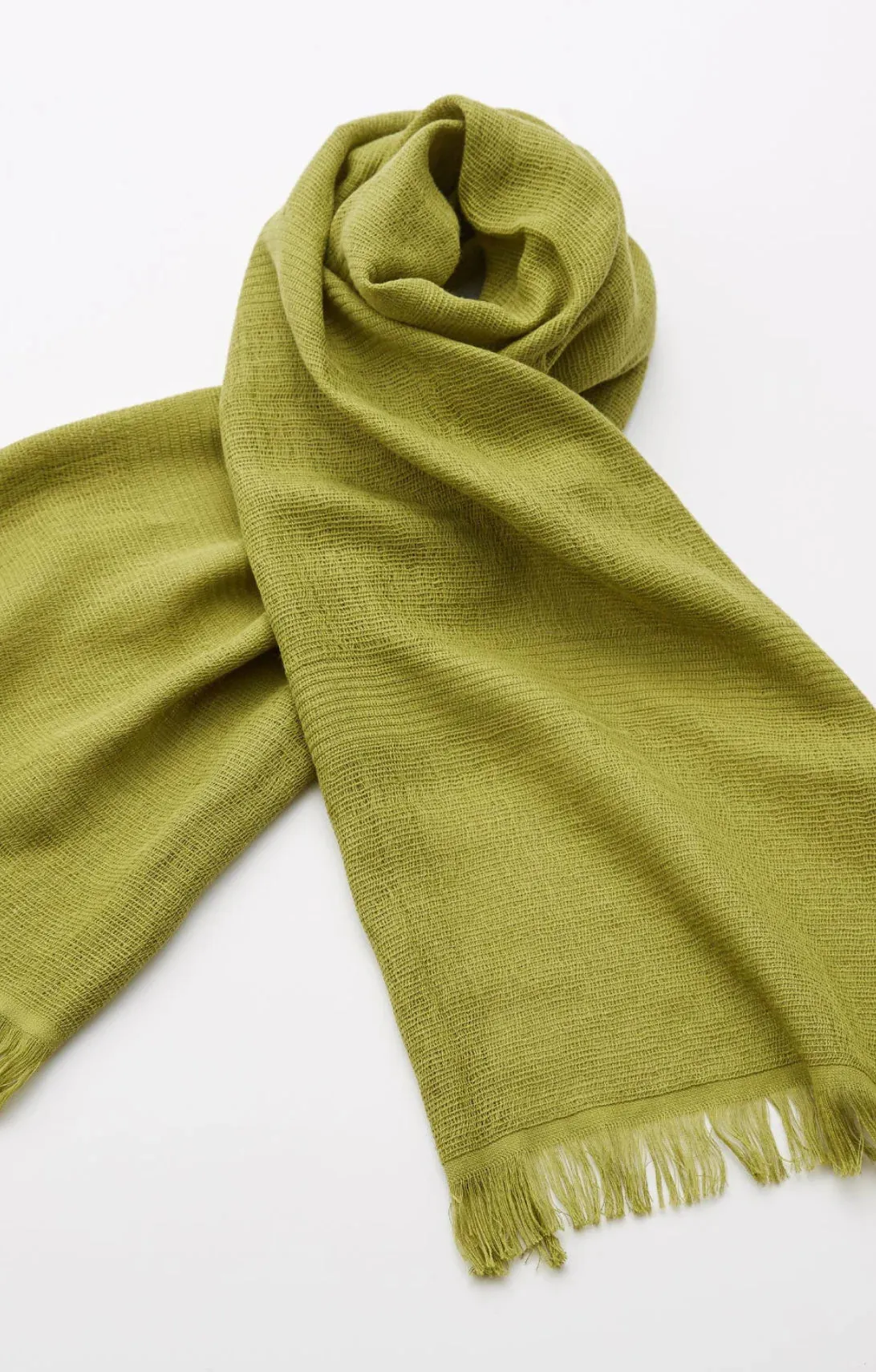 Supima Organic Cotton Scarf 62"